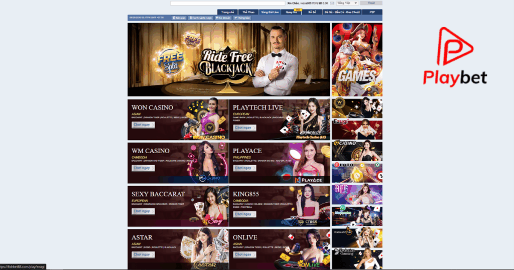 Live casino